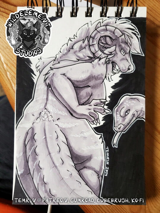 Inks & Copics