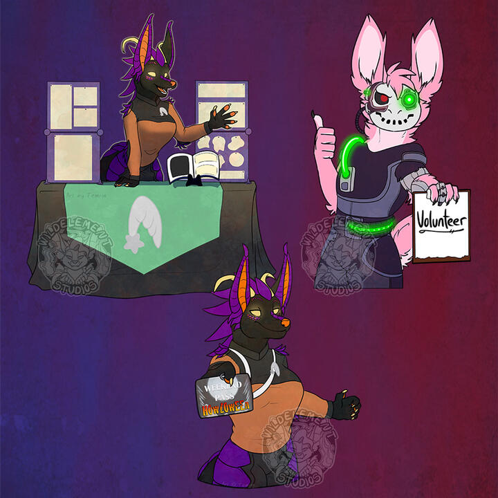 2024 Bork Updated graphics fro new theme