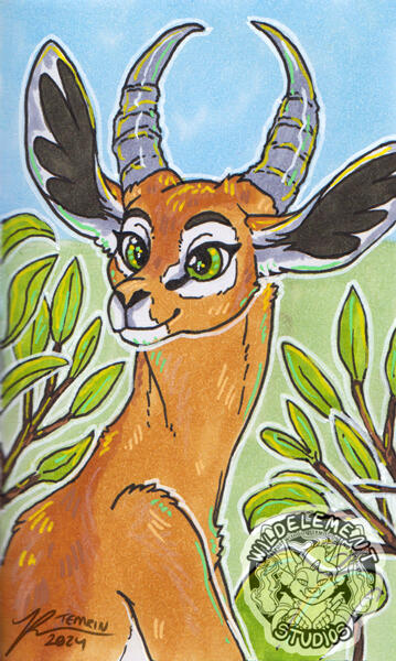 Traditional Art