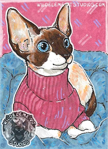 artwork featuring a white/cream coloured short haired cat (cornish rex) with brown ear tips, upper face, and tail tip, with bright blue eyes, wearing a soft red sweater, in a blue fuzzy cat bed with a red/pink background. Made with posca and copic markers.